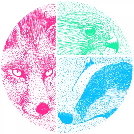 Apparel archive artwork 26