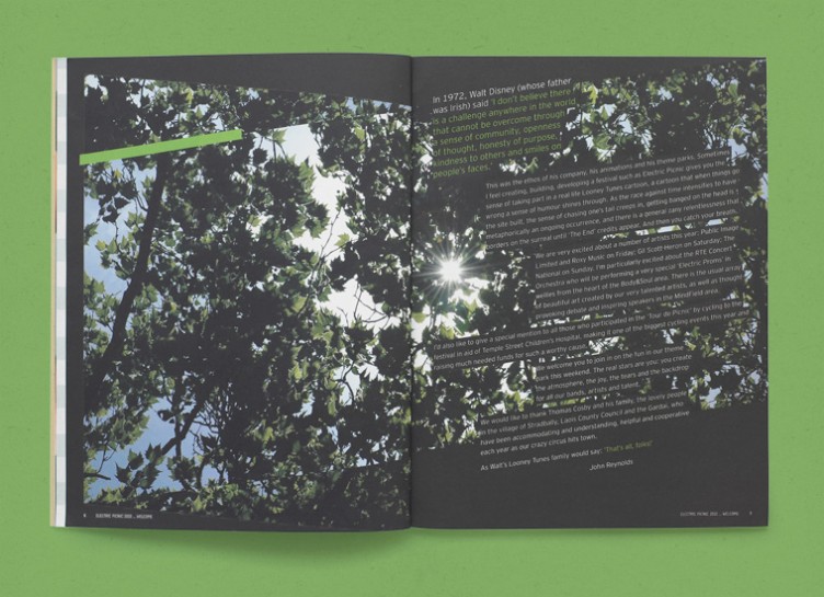 Electric Picnic archive artwork 17