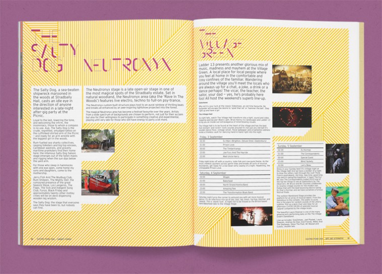 Electric Picnic archive artwork 12