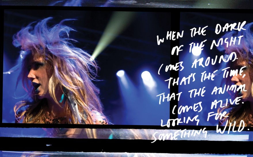 Ke$ha - My Crazy Beautiful Life archive artwork 8