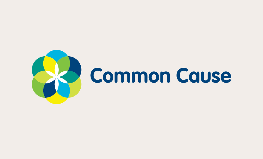 Common Cause archive artwork 2
