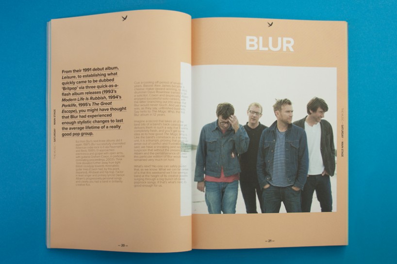 Electric Picnic 2015 archive artwork 4