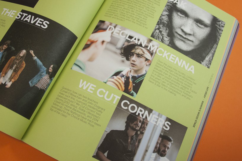 Electric Picnic 2015 archive artwork 12