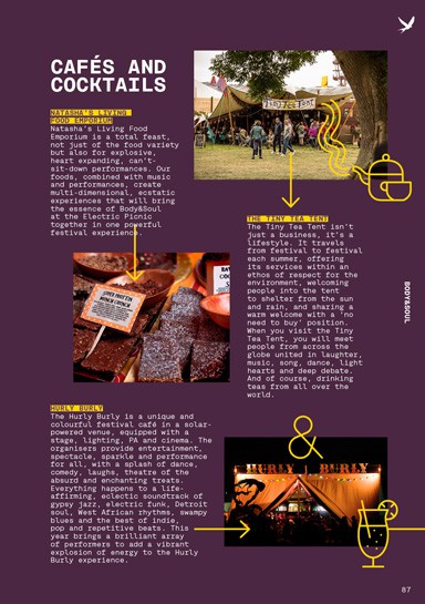 Electric Picnic 2016 archive artwork 17